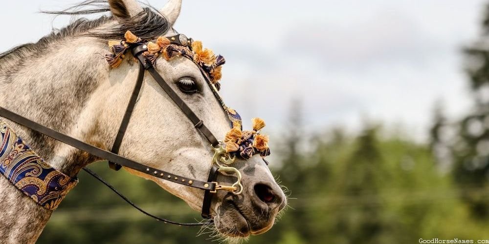 Ancient Horse Names Inspired By Horse Characteristics