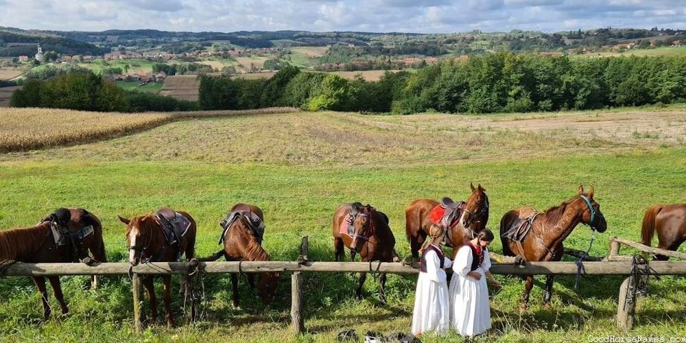 Angelic Horse Royal Names