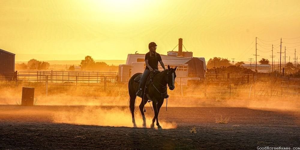 Australian Horse Popular Names