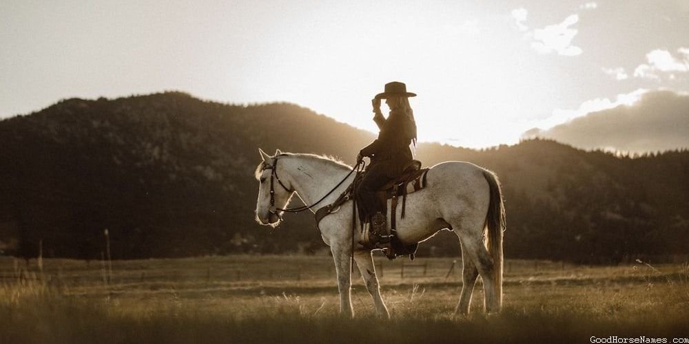 Badass Female Horse Regal Names