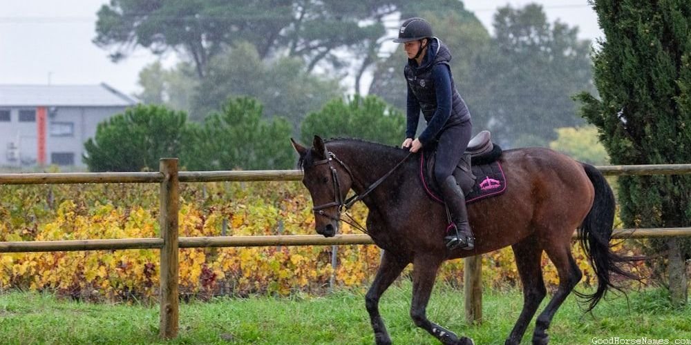 Black War Horse Powerful Names