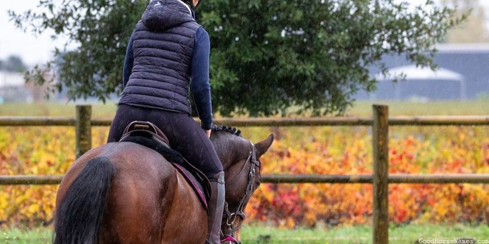Popular Rohan Horse Names